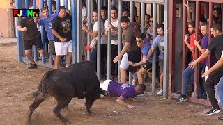 Encierros y suelta de Vacas  Roser 2017  Almassora Castellon Bous Al Carrer Toros FJGNtv [upl. by Eirrek]