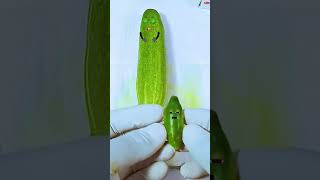 Cucumber has a baby Need Emergency Surgery jidoodle fruitsurgery foodsurgery [upl. by Ailgna]