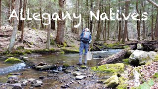 Allegany Natives  Fishing in Allegany State Park [upl. by Stanly]