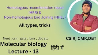 dna repair mechanism  Homologous Recombination repair  Non homologous End Joining Repair [upl. by Llydnek694]