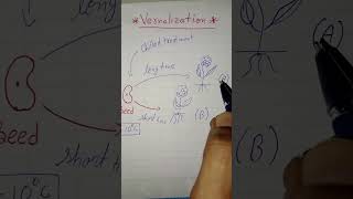 Vernalization biology shorts footlab classes [upl. by Wardle]