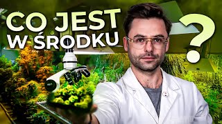 Jak działa MEDYCZNA MAR1HUAN4 Jak dobrać IDEALNĄ odmianę [upl. by Corsetti]