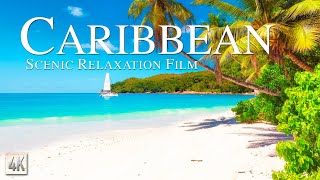 Caribbean 4K  Tropical Scenic Relaxation Ambient Film with Calming Music [upl. by Ave]