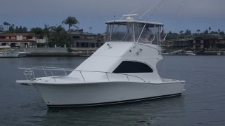 Luhrs 34 Convertible in the Marina Video by South Mountain Yachts 949 8422344 [upl. by Bethesde]