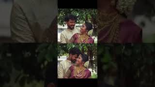 Anjitha ❤️ Amal wedding  dream wedding YouTube  shorts [upl. by Lemay260]