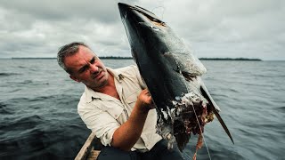 UN MONSTRE DÉCOUPE MON BARRACUDA EN DEUX  Cyril Chauquet [upl. by Joon]