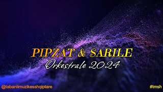 MARSEL MUZIKANTI  PIPZAT amp SARILE  2024  ORKESTRALE POPULLORE sarile [upl. by Legir707]