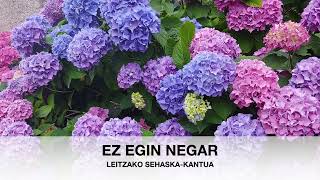 ITZIAR AZPIROZEZ EGIN NEGAR [upl. by Giustina]