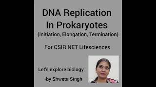 DNA Replication in Prokaryotes Initiation Elongation Termination Molecular Biology [upl. by Eemyaj145]