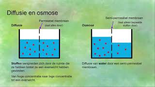 Endocytose exocytose diffusie osmose actief en passief transport  Transport in en uit cellen [upl. by Yrocaj]