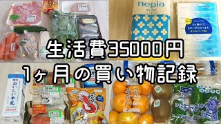 【節約生活】低収入一人暮らし1ヶ月のリアルな買い物記録 [upl. by Busby]