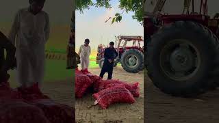 Main mehnat kitti aa koi tukka nai laya hik paad k pathran di Ansari Agro Agricultural video [upl. by Mauldon]