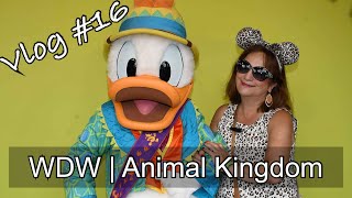 Vlog 16  Animal Kingdom [upl. by Nireves658]