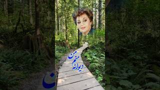 هایده، دیوانه منم من، موسیقی ایرانی، Hayede Iranian Music [upl. by Ottinger]