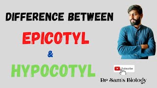 Difference between Epicotyl and Hypocotyl [upl. by Nishom]