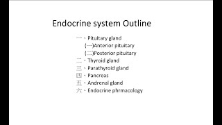 NCLEXRN 內外科 Chapter 4 Lesson 44 Pancreas pharmacology Insulin 胰島素 [upl. by Bruell]