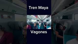 Tren maya vagones como están de diferentes trenmaya [upl. by Brenan]