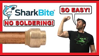 SharkBite  Capping off a water pipe with SharkBite end cap  EASY  How To  Review  Shark Bite [upl. by Stewart]