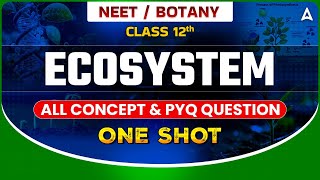 ECOSYSTEM CLASS 12 ONE SHOT  NEET 2024  ALL CONCEPTS amp TRICKS  DRONA SERIES  BOTANY BY SANKALP [upl. by Pepe715]