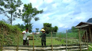 Journey to renovate the farm together  Preparing to raise chickens in large quantities [upl. by Hgielsa]