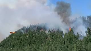 Super Scooper Forest Fire Plane in action in NE WASHINGTON state [upl. by Enelad210]