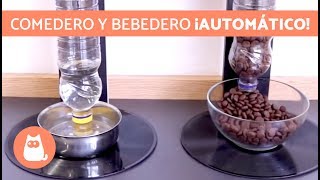 Comedero dispensador AUTOMÁTICO para perros 🐕 MANUALIDADES para tu MASCOTA [upl. by Lilllie464]