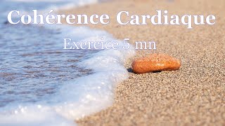 Coherence cardiaque exercices 5 minutes [upl. by Ashman]