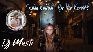 Her Yer Karanlık roman havası ritim 2021 CEYLAN KOYNAT FEAT DJ MUSTİ [upl. by Norri807]