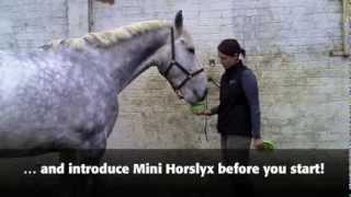 Clipping tips from Horslyx [upl. by Davy]