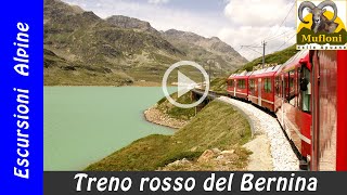 Treno Rosso del Bernina Tirano  St Moritz [upl. by Meridith]