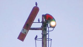 Last Semaphore Signal on the Hurstbridge Line  February 2013 [upl. by Juanita269]