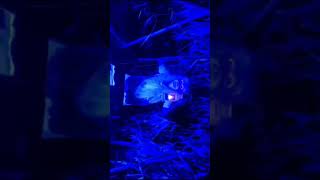 Dear ghost 👻shortvideo ghoststories [upl. by Winnie911]