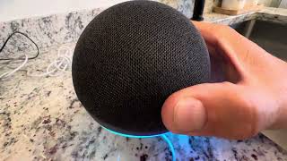 Amazon Echo Dot 5th Gen [upl. by Eelyak]