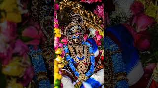 Thiruchendur murugan song [upl. by Tireb63]