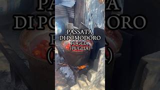 Passata di pomodoro di fine stagione italia food foggia puglia [upl. by Aidnic]