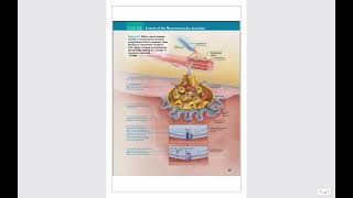 Y3 Muscle proteins and contractile mechanisms [upl. by Maritsa419]