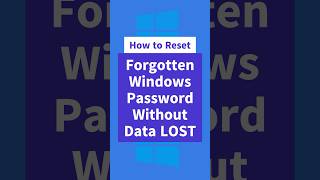 How to Reset Forgotten Windows Password Without Losing Data [upl. by Durr139]