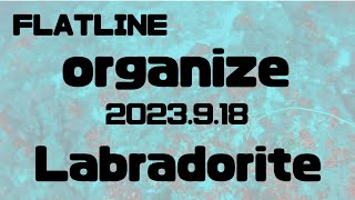 【FLATLINE ORGANIZE 2023】SC3「Labradorite」 [upl. by Aloek914]