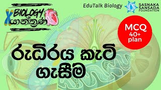 රුධිර කැටි ගැසීම  Blood Clotting  EduTalk Biology [upl. by Floridia]