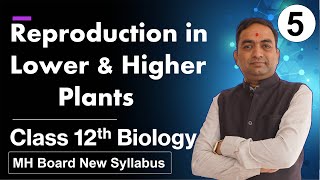 Reproduction in Lower and Higher Plants Class 12th Biology Part 5 [upl. by Aigroeg221]