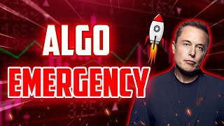 ALGO MUST KNOW EMERGENCY NEWS  ALGORAND SHOCKING PRICE PREDICTIONS FOR 2025 [upl. by Kela]