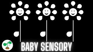 Baby Sensory Video  Black and White  High Contrast Music and Fun Animation [upl. by Neih]