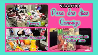 PASA DOS DIAS CONMIGO LIMPIANDO MI VANITYCOMPRAS EN LA DOLLAR TREE mividaenusa vlogdefamilia [upl. by Felipe]