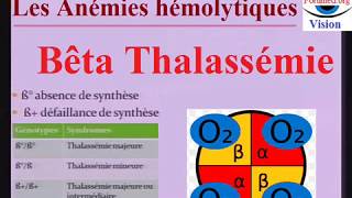 Béta Thalassémie Physiopathologie de lAnémie hémolytique et Traitement [upl. by Cordelia]