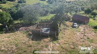 🌾✨ Propriedade à Venda com 30 Hectares em PiratiniRS ✨🌾 [upl. by Armilda]