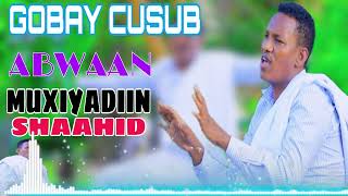 MUXIYADIIN SHAAHID  CAQLI GADAN  GABAY CAJIIBA  2024 AUDIO [upl. by Lrat990]