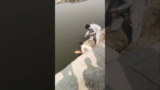 Fishing In Pakistan Rawal Dam Fishing [upl. by Lewie41]