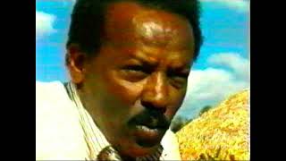 Engineer Asgedom  Weldemichael ሓላፋይዩ ሽግር Official Music Video 2023 [upl. by Aisatal]