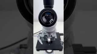 Natto magnified 400 times is surprisingshorts fyp science microscope shortsvideo [upl. by Amisoc444]