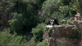 California Condors in Grand Canyon National Park [upl. by Keary]